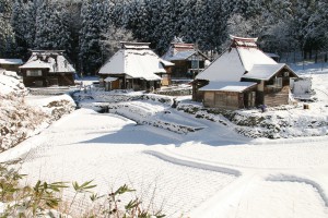 雪国観光圏